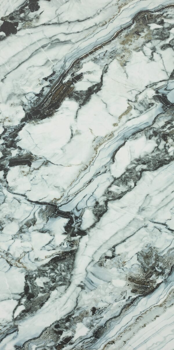 OYSTER