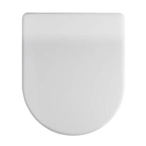 Luxury D-Shaped Quick Release Soft Close Toilet Seat - NTS004