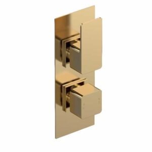 Nuie Windon Brushed Brass Twin Concealed Shower Valve (Low Pressure) - Single Outlet