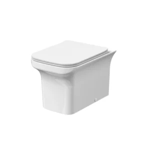 Nuie Ava Rimless Back To Wall Toilet & Seat