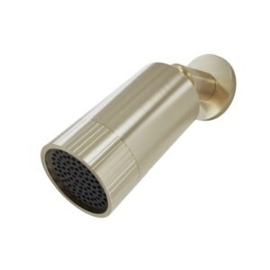 Scudo Core Spotlight Brushed Brass Shower Head